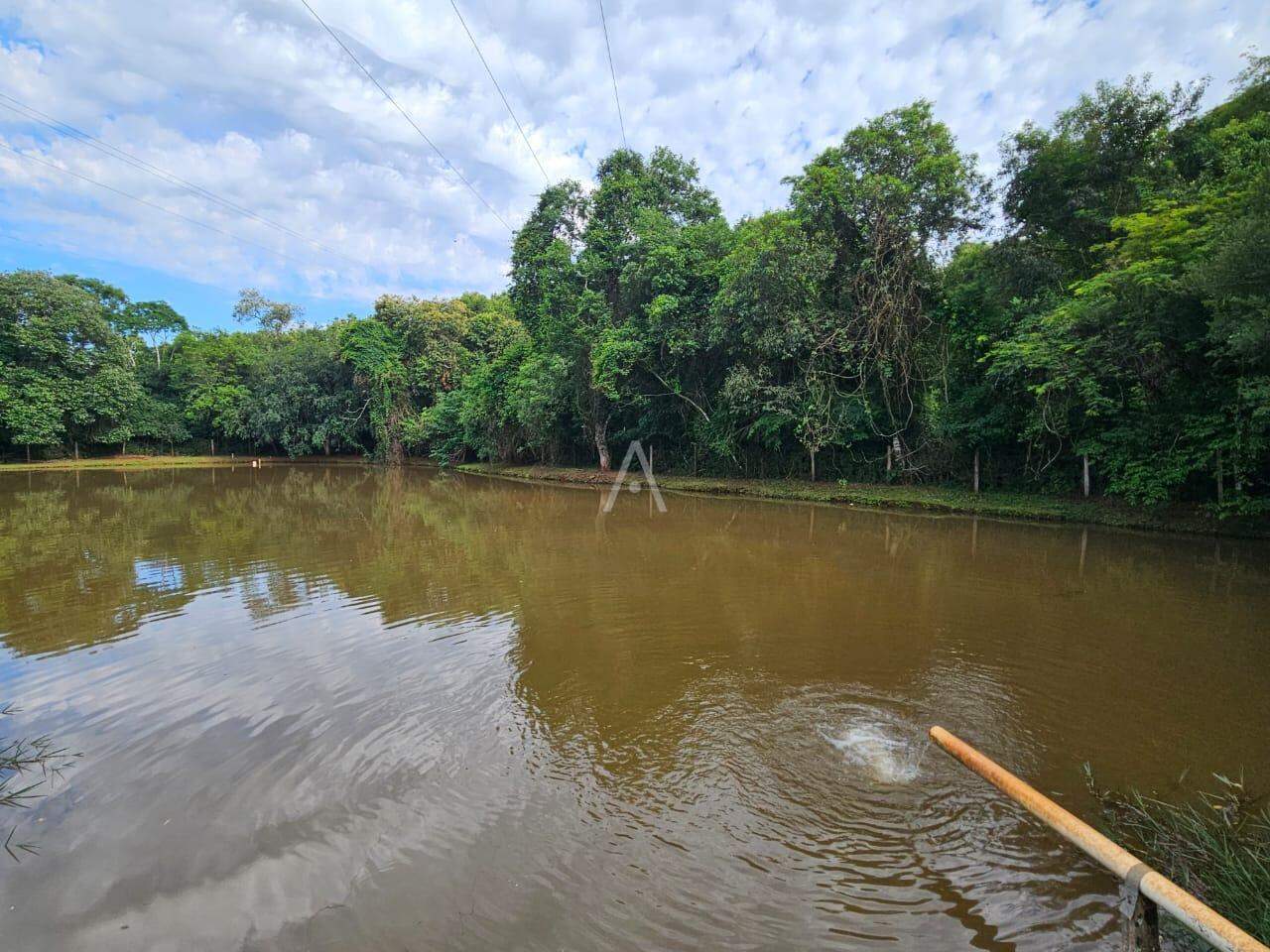 Imóveis Rurais para à venda no Bairro SAO SALVADOR em CASCAVEL: