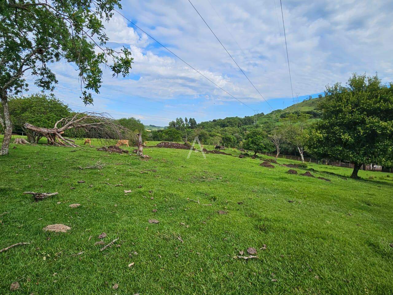 Imóveis Rurais para à venda no Bairro SAO SALVADOR em CASCAVEL:
