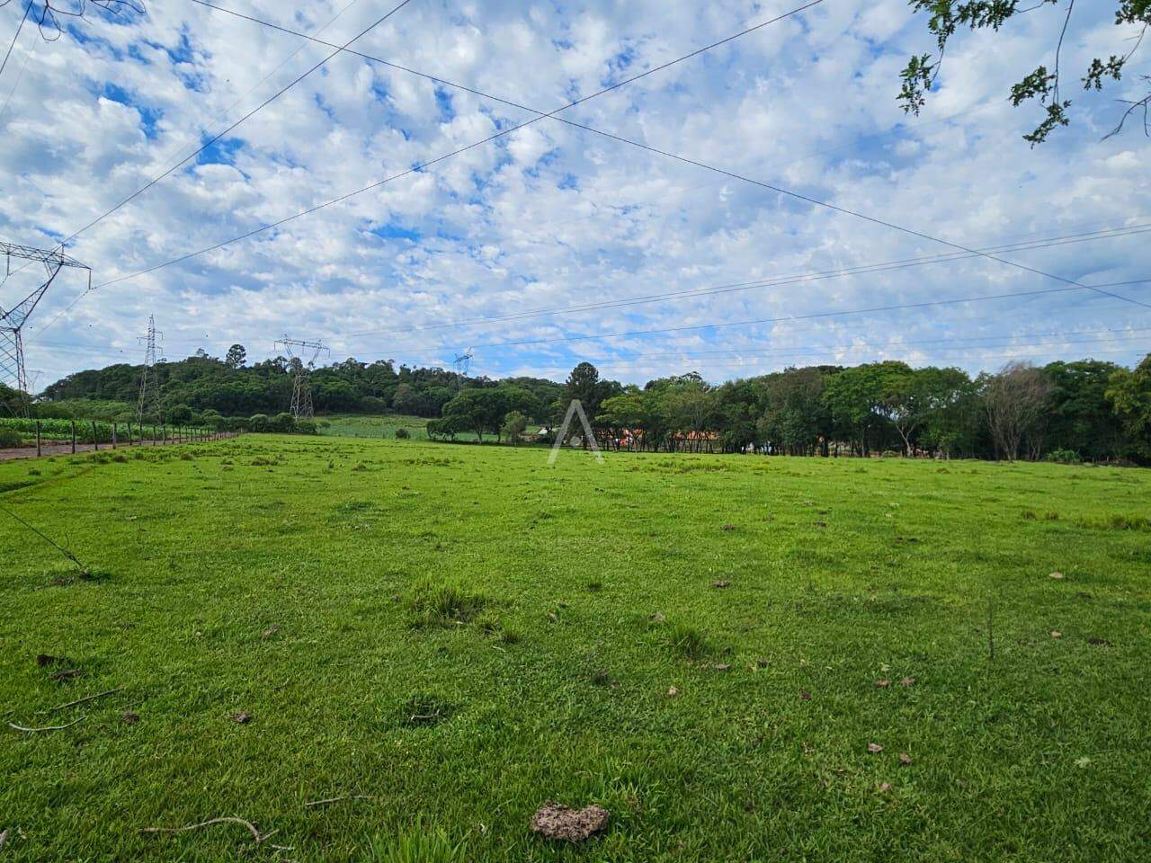 Imóveis Rurais para à venda no Bairro SAO SALVADOR em CASCAVEL: