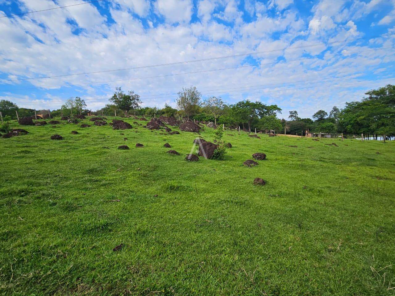 Imóveis Rurais para à venda no Bairro SAO SALVADOR em CASCAVEL: