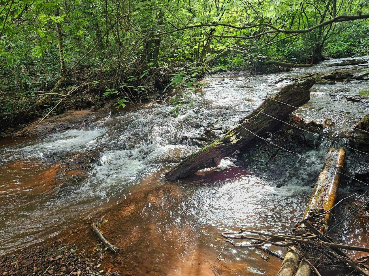 Imóveis Rurais para à venda no Bairro SAO SALVADOR em CASCAVEL: 