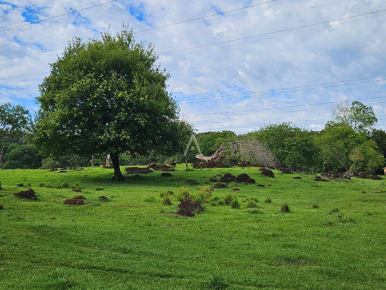 Imóveis Rurais para à venda no Bairro SAO SALVADOR em CASCAVEL:
