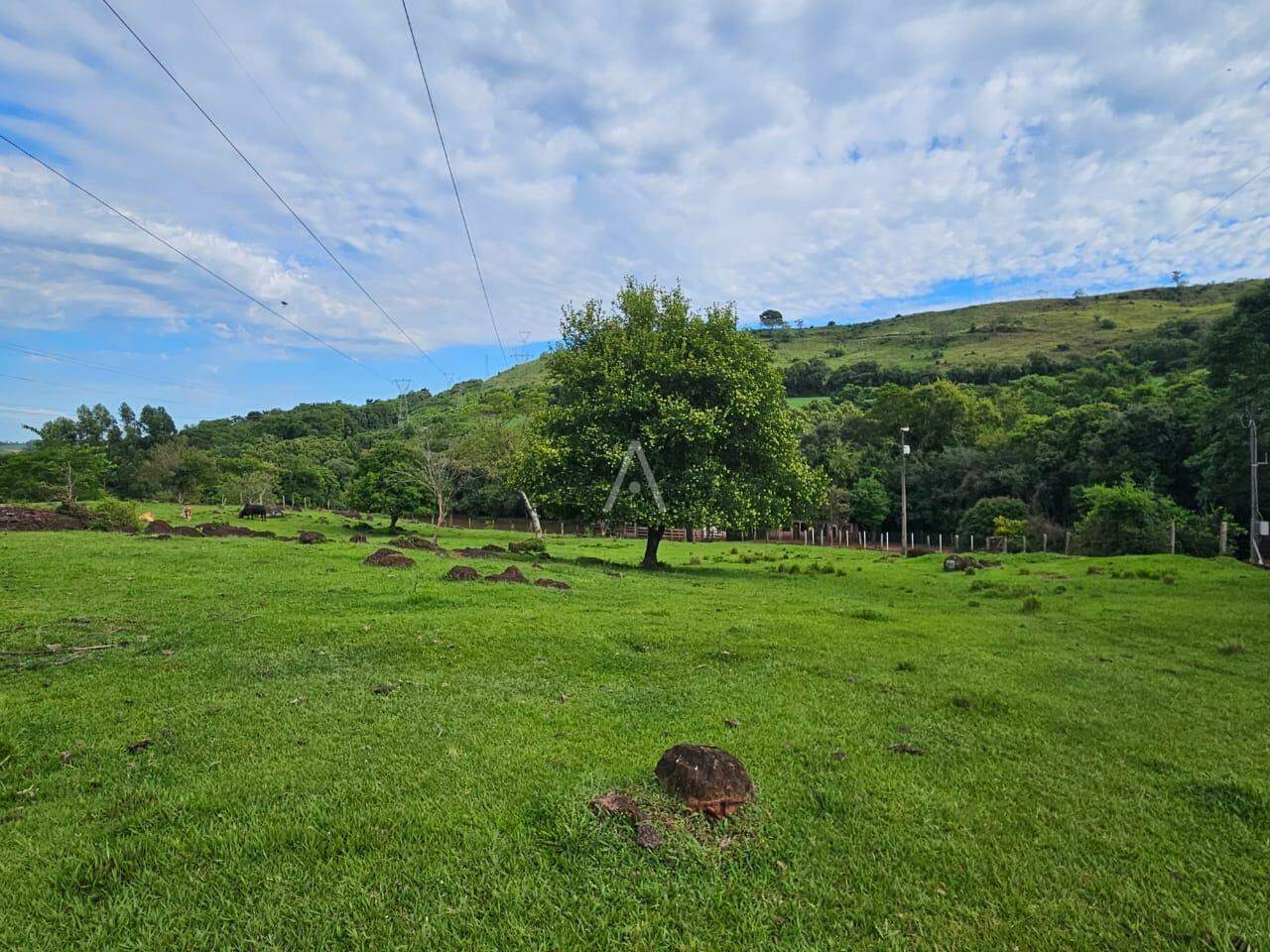 Imóveis Rurais para à venda no Bairro SAO SALVADOR em CASCAVEL: