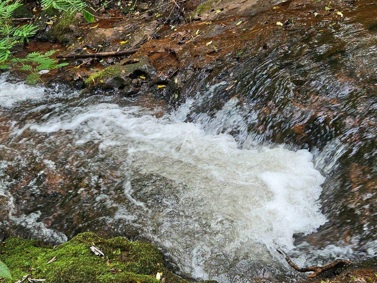 Imóveis Rurais para à venda no Bairro SAO SALVADOR em CASCAVEL: