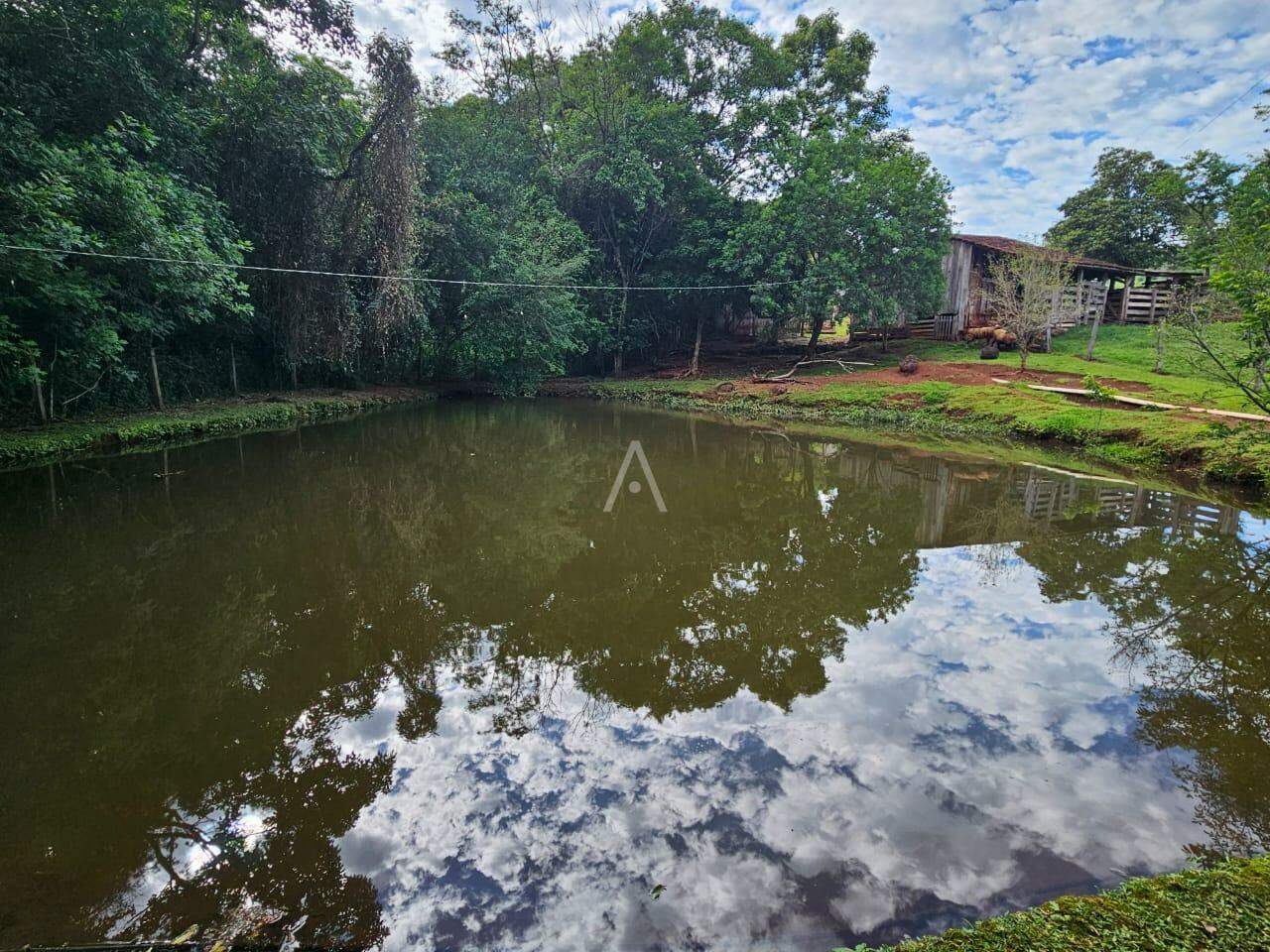 Imóveis Rurais para à venda no Bairro SAO SALVADOR em CASCAVEL: