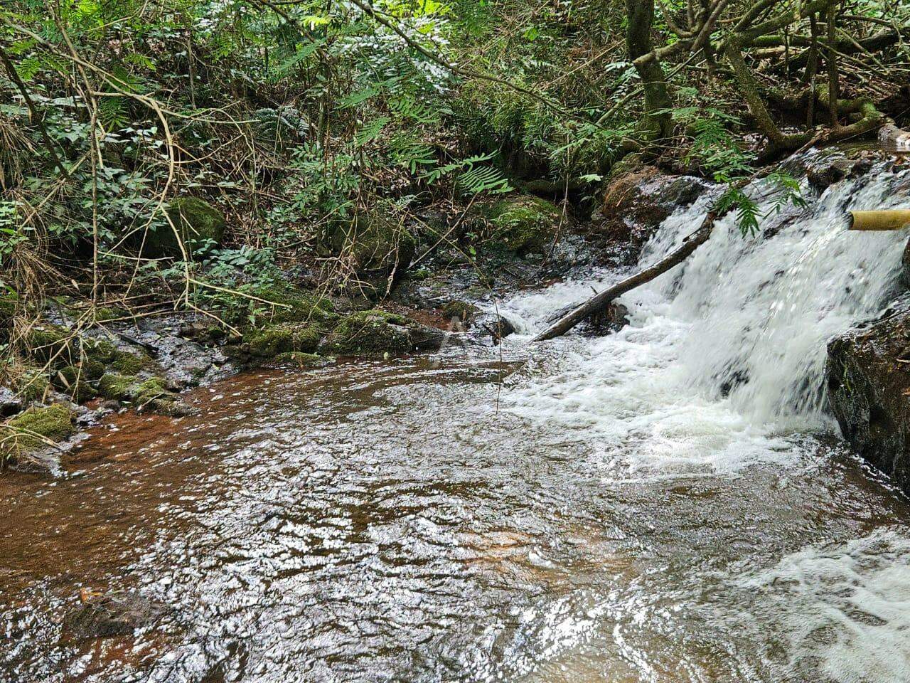 Imóveis Rurais para à venda no Bairro SAO SALVADOR em CASCAVEL: