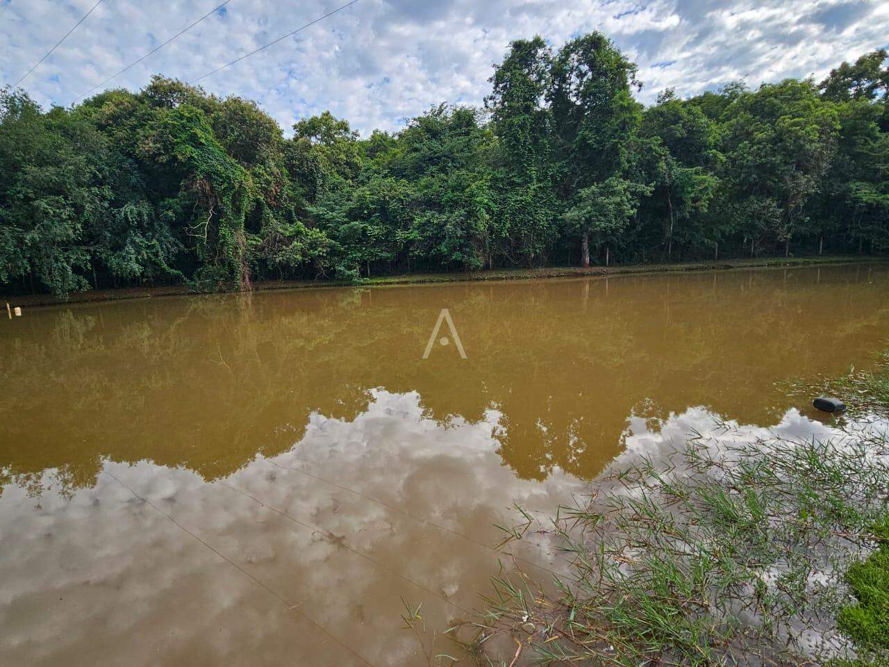Imóveis Rurais para à venda no Bairro SAO SALVADOR em CASCAVEL: