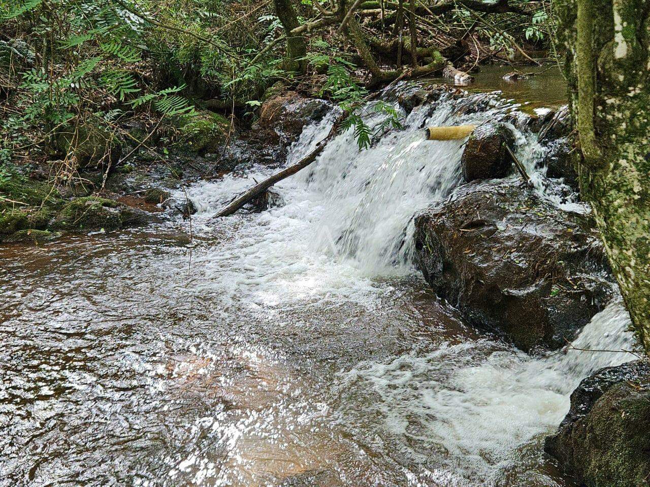 Imóveis Rurais para à venda no Bairro SAO SALVADOR em CASCAVEL: 