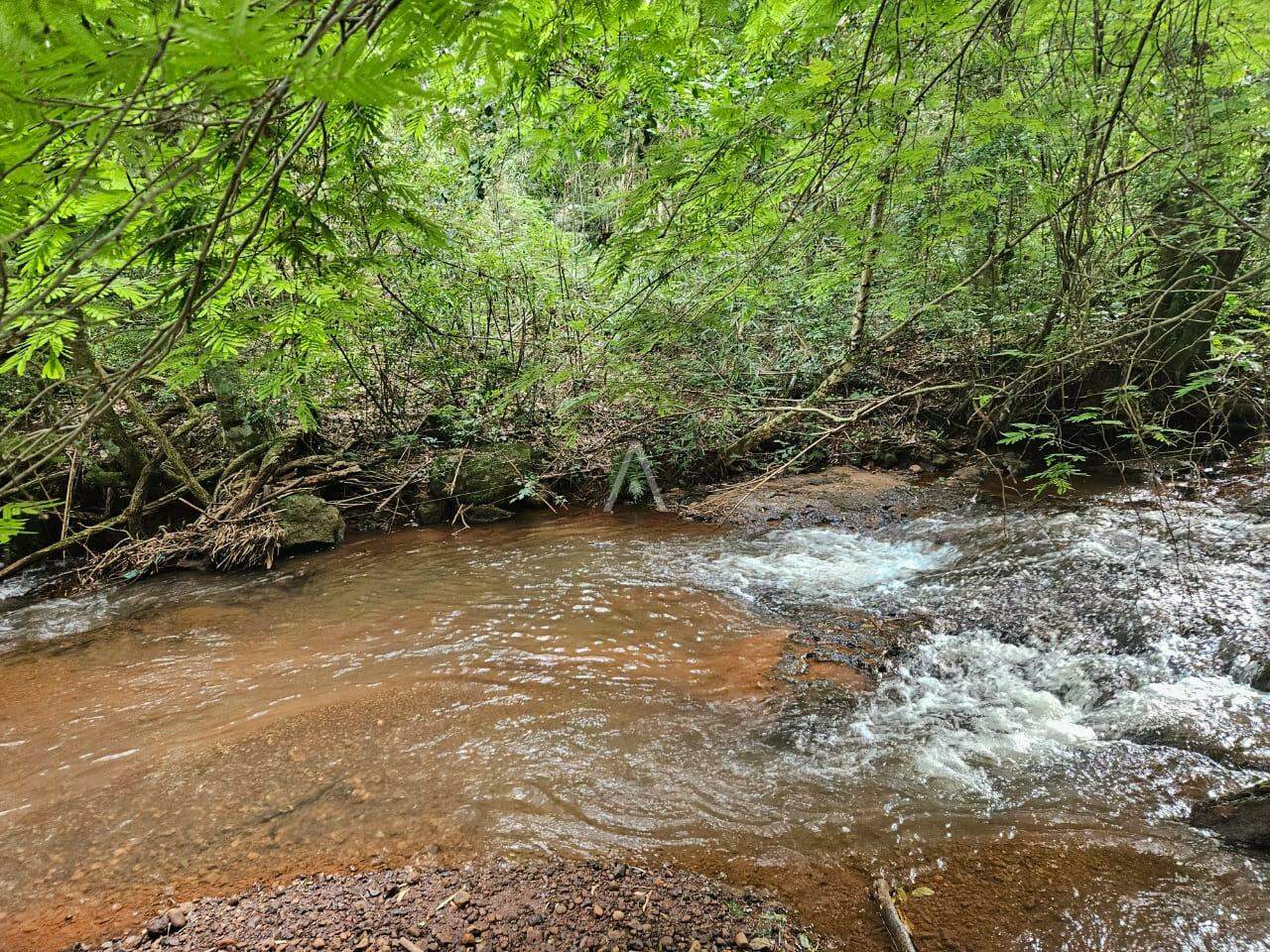 Imóveis Rurais para à venda no Bairro SAO SALVADOR em CASCAVEL:
