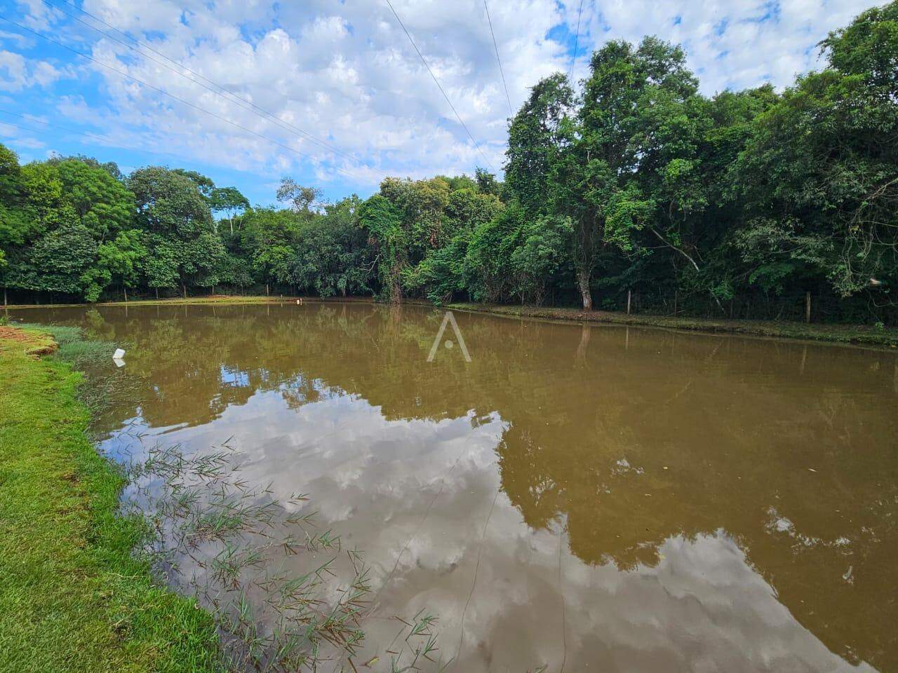 Imóveis Rurais para à venda no Bairro SAO SALVADOR em CASCAVEL: