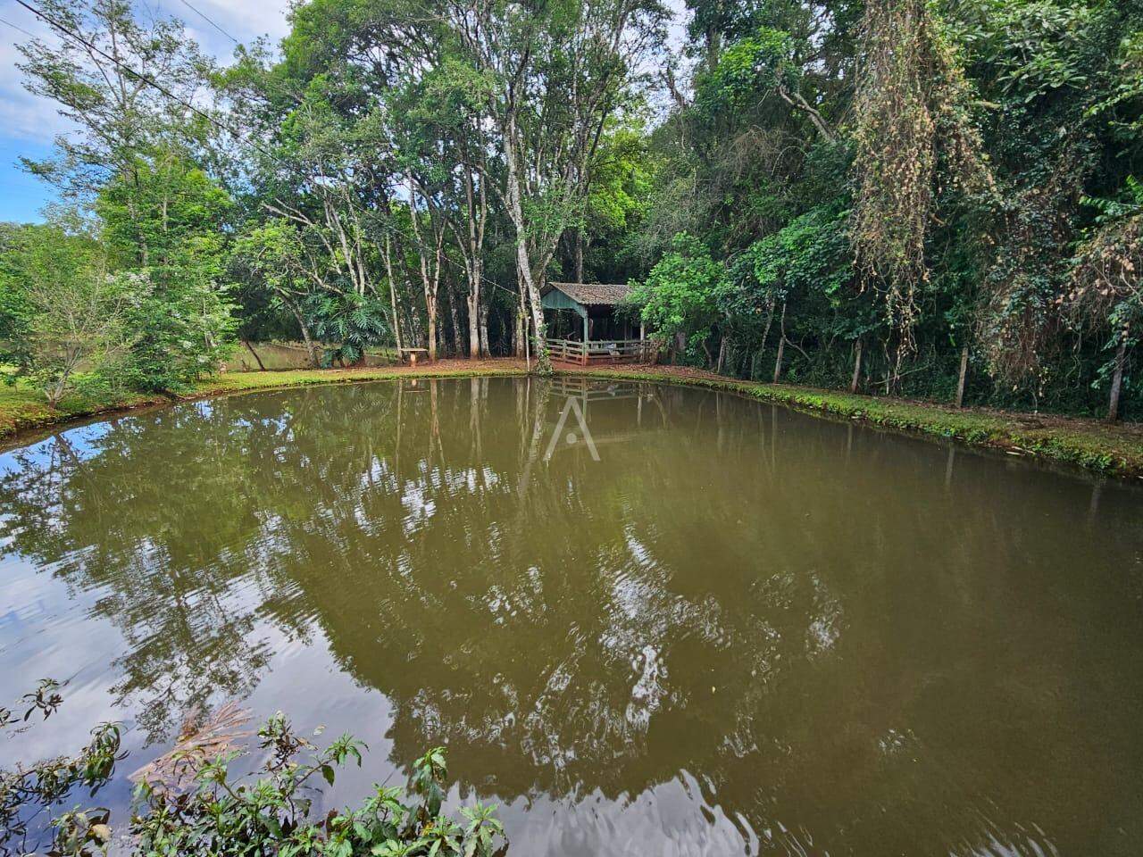 Imóveis Rurais para à venda no Bairro SAO SALVADOR em CASCAVEL: