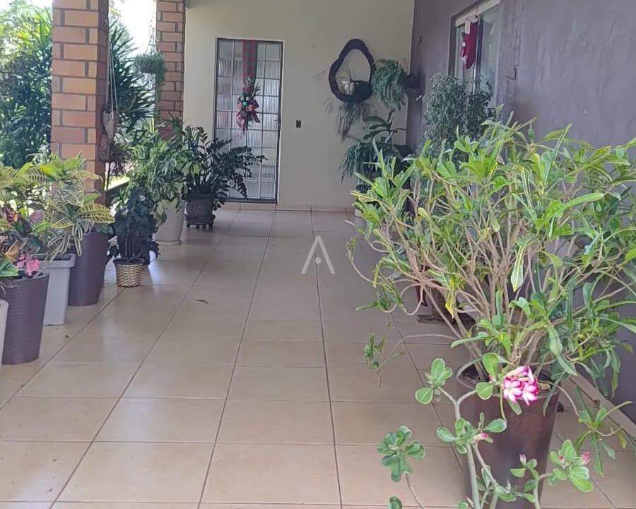 Casa Residencial para à venda no Bairro DISTRITO SÃO LUIZ em TOLEDO: 