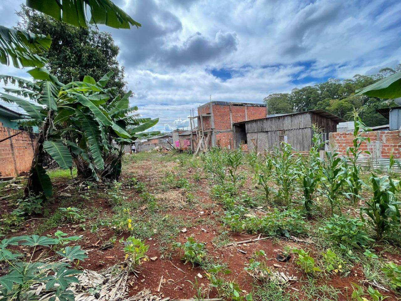 Terreno para à venda no Bairro SANTA FELICIDADE em CASCAVEL: 
