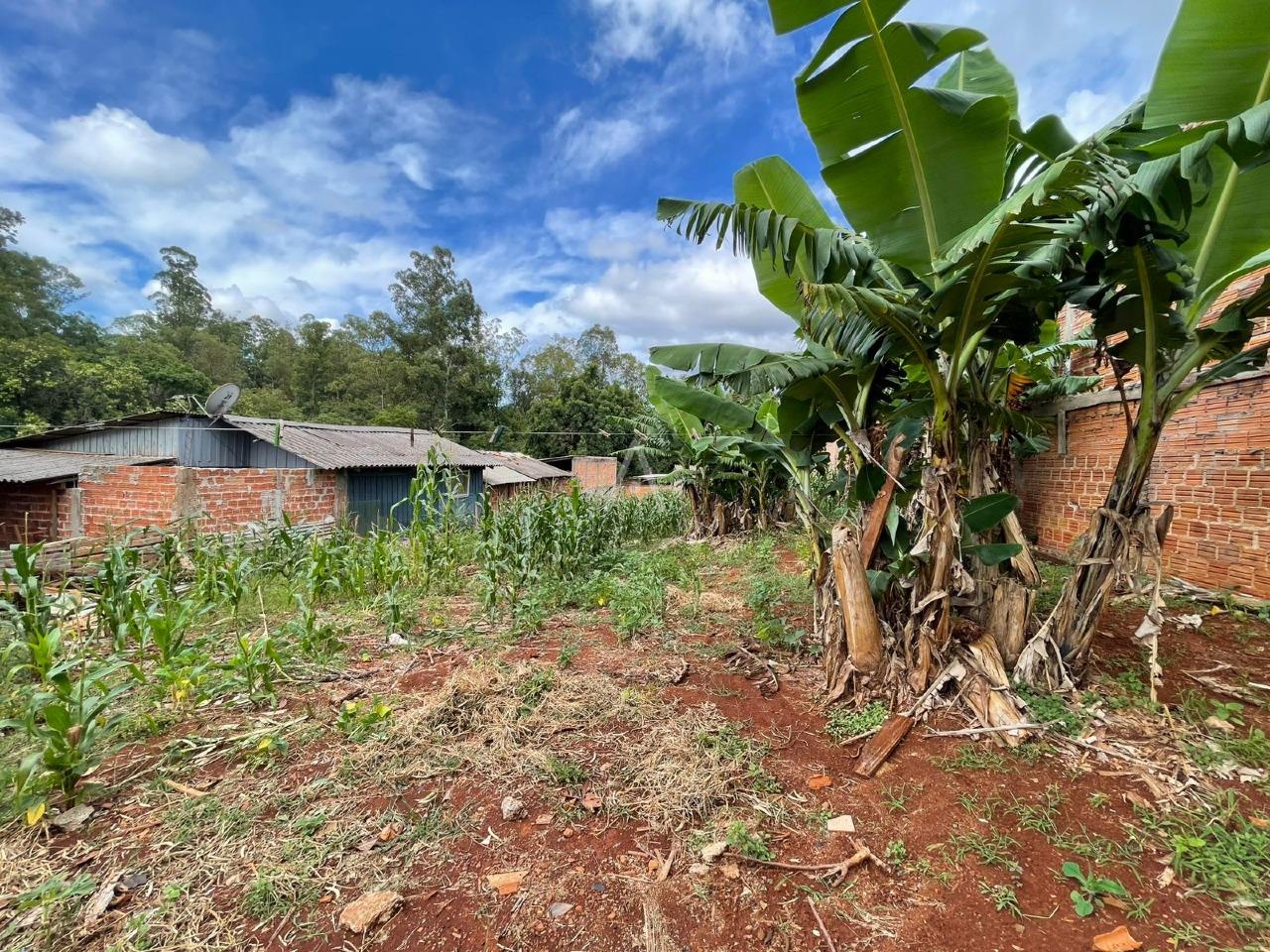 Terreno para à venda no Bairro SANTA FELICIDADE em CASCAVEL: 