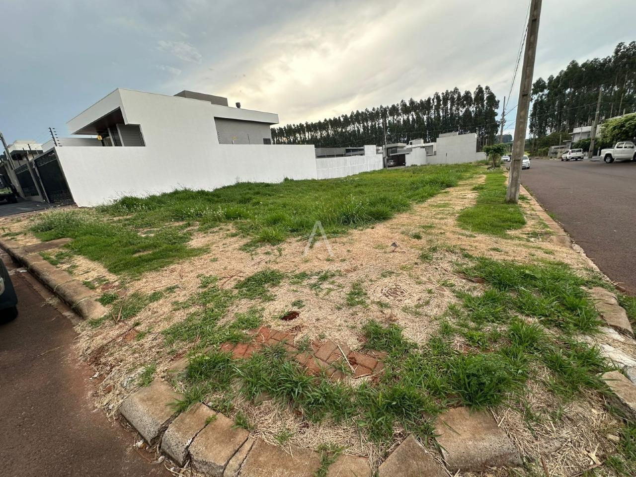 Terreno para à venda no Bairro TROPICAL III em CASCAVEL: 