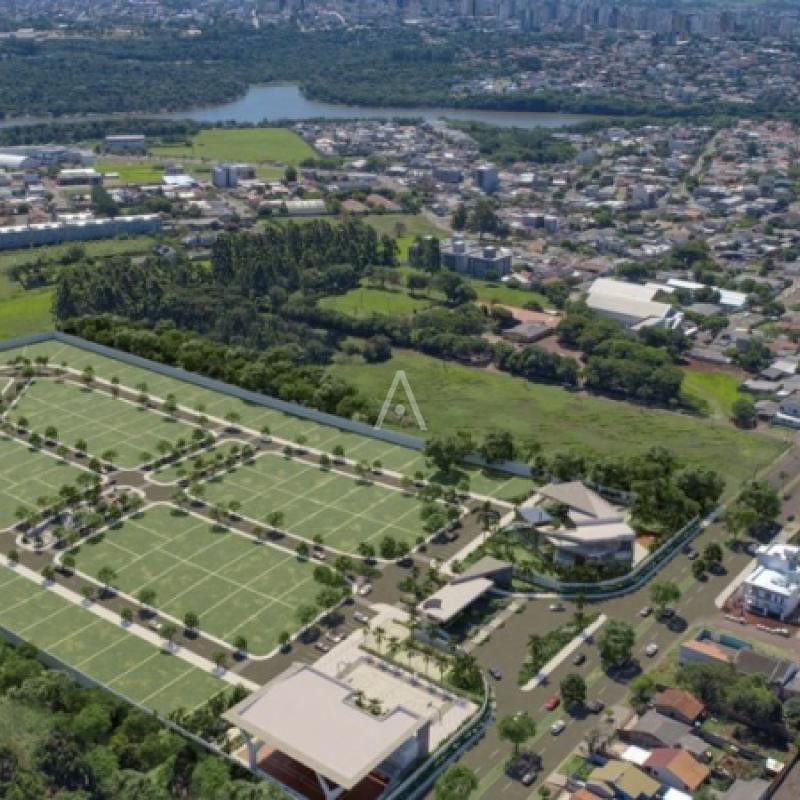 Terreno para à venda no Bairro PACAEMBU em CASCAVEL: 