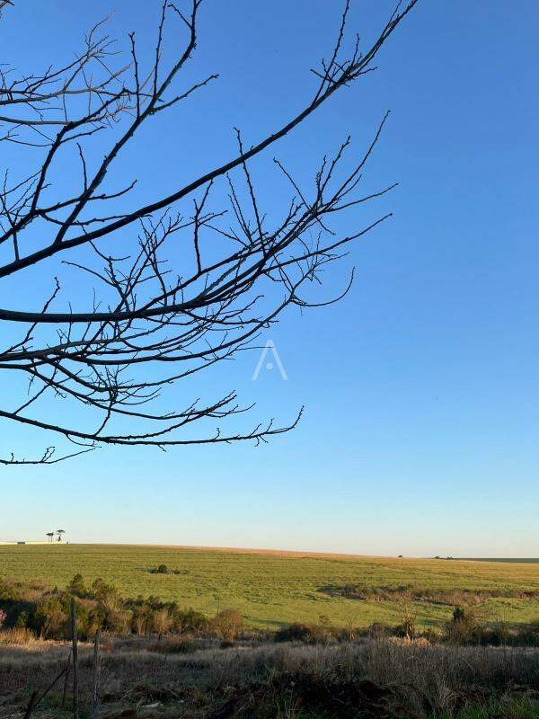 Casa Residencial para à venda no Bairro CASCAVEL VELHO em CASCAVEL: Vista da Frente da Casa