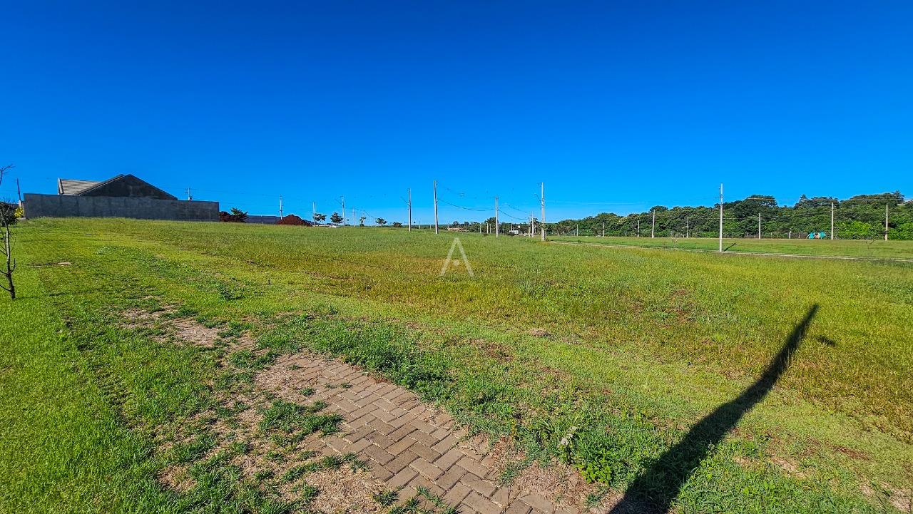 Terreno para à venda no Bairro PARAISO TROPICAL 2 em CASCAVEL: 