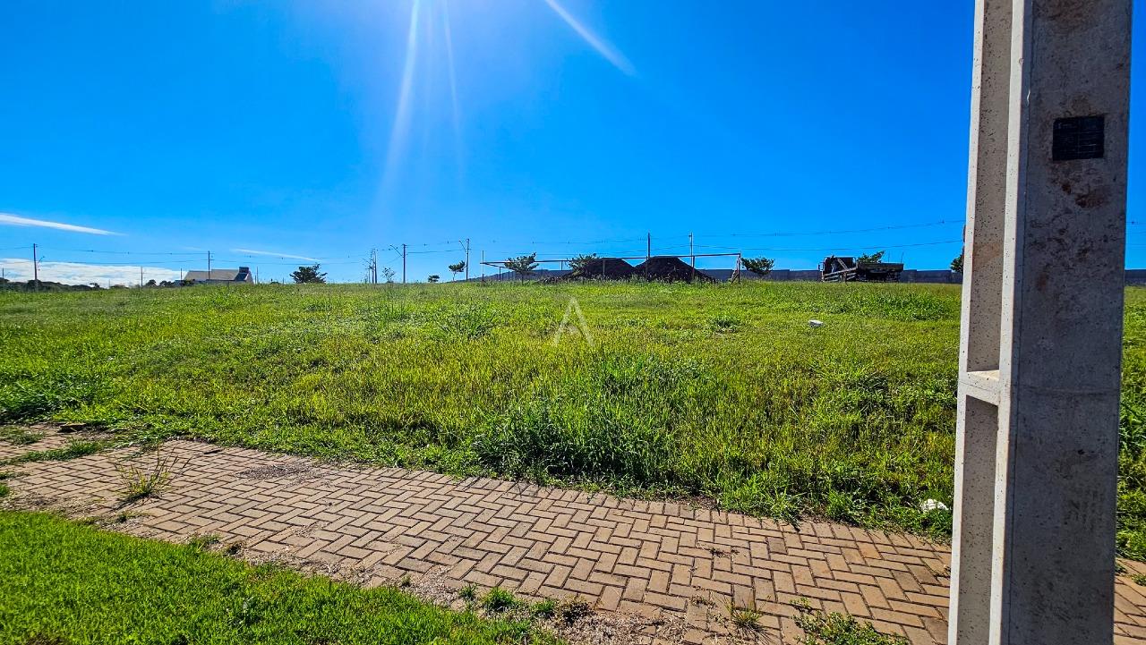 Terreno para à venda no Bairro PARAISO TROPICAL 2 em CASCAVEL: 