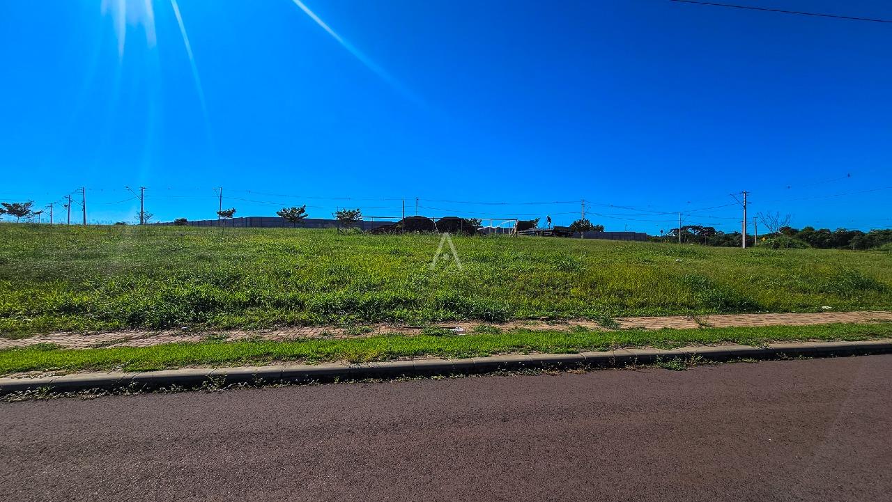 Terreno para à venda no Bairro PARAISO TROPICAL 2 em CASCAVEL: 