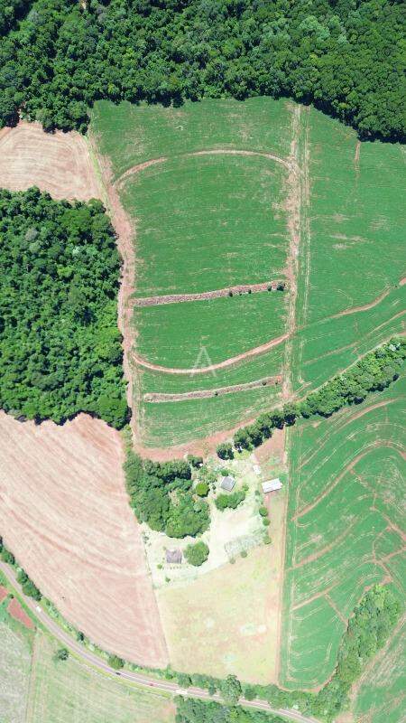 Imóveis Rurais para à venda no Bairro ZONA RURAL em CASCAVEL: 
