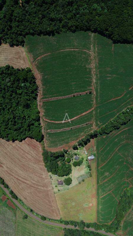 Imóveis Rurais para à venda no Bairro ZONA RURAL em CASCAVEL: 
