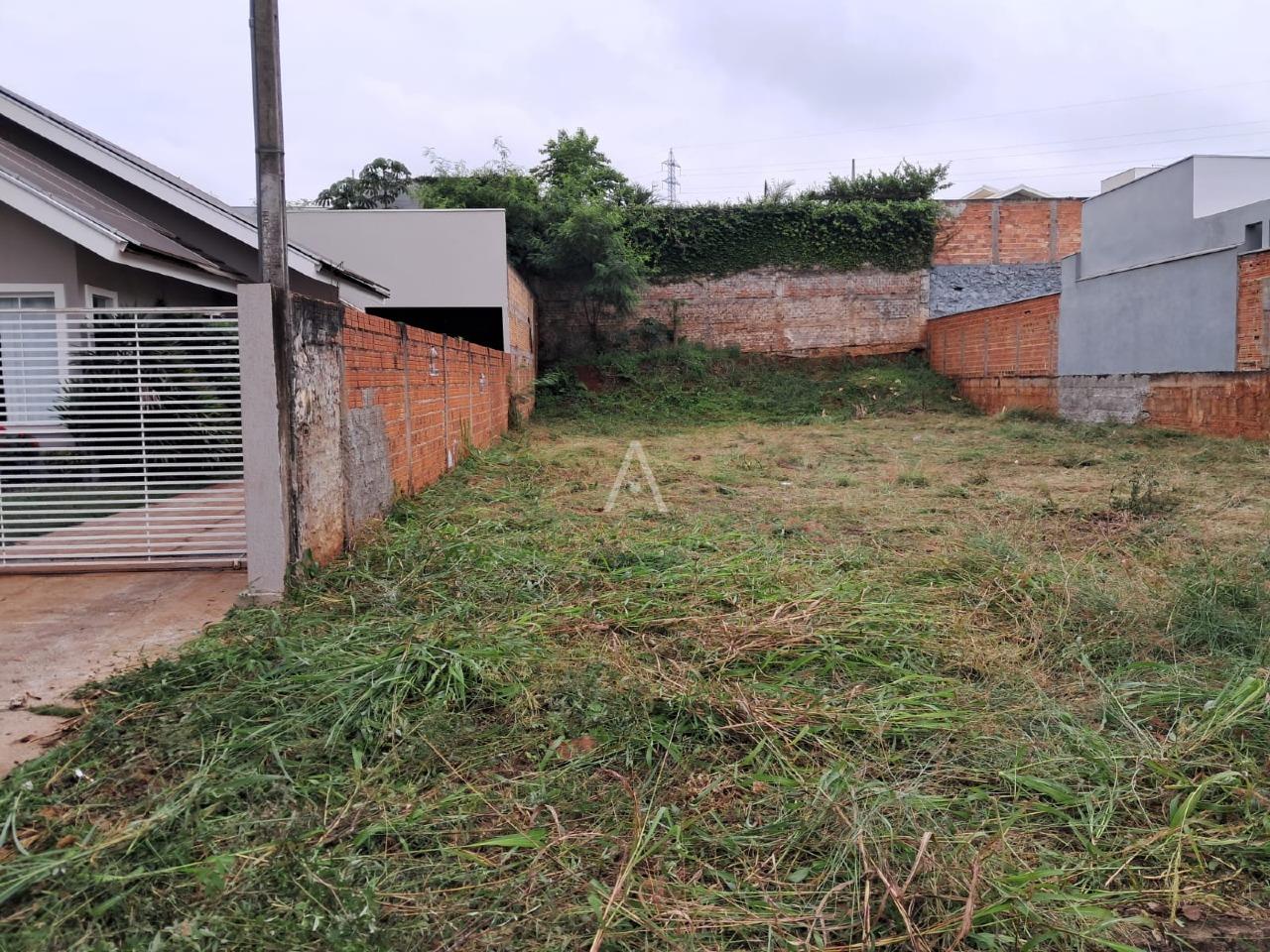 Terreno para à venda no Bairro JARDIM PANCERA em TOLEDO: 