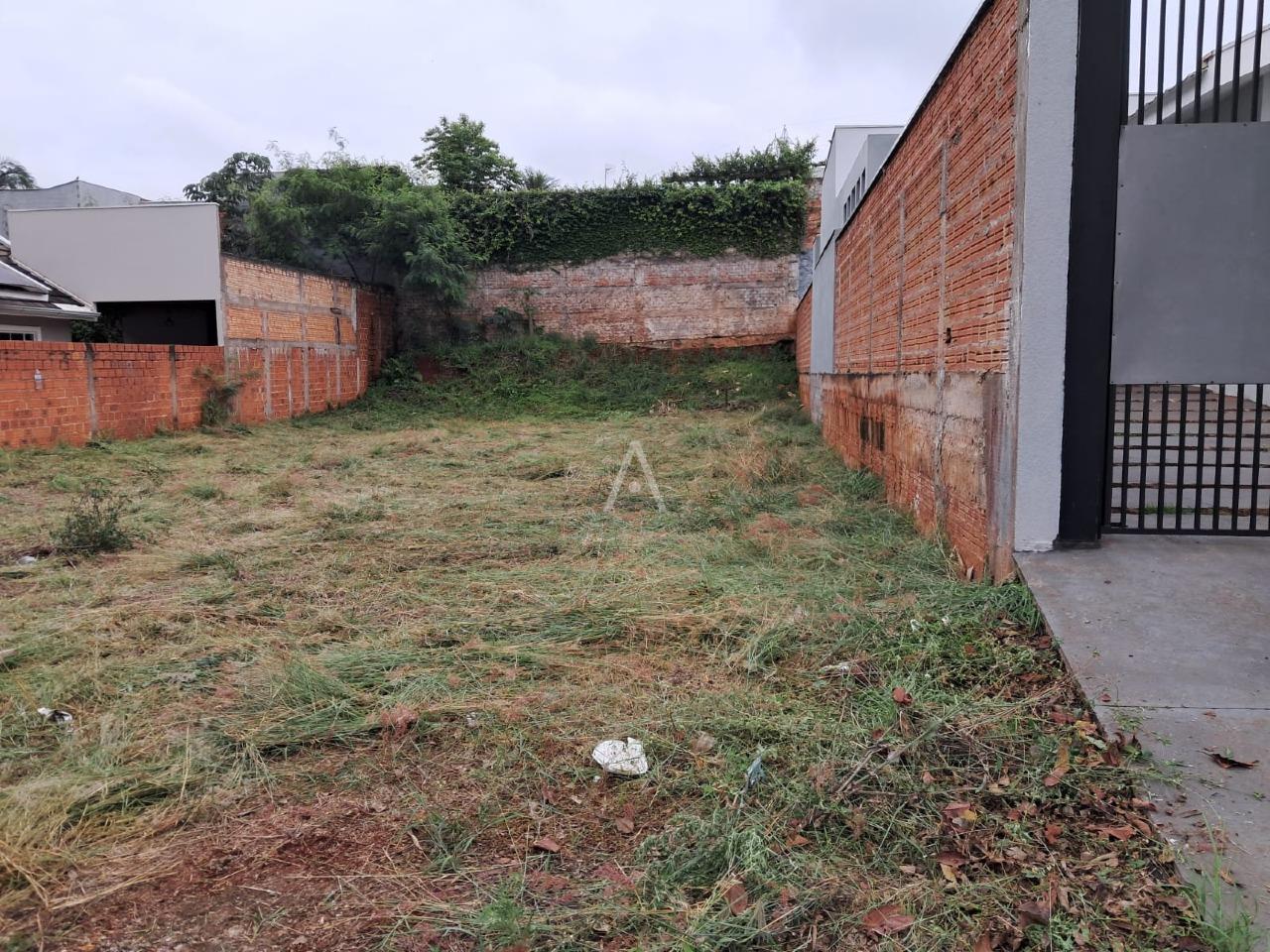 Terreno para à venda no Bairro JARDIM PANCERA em TOLEDO: 