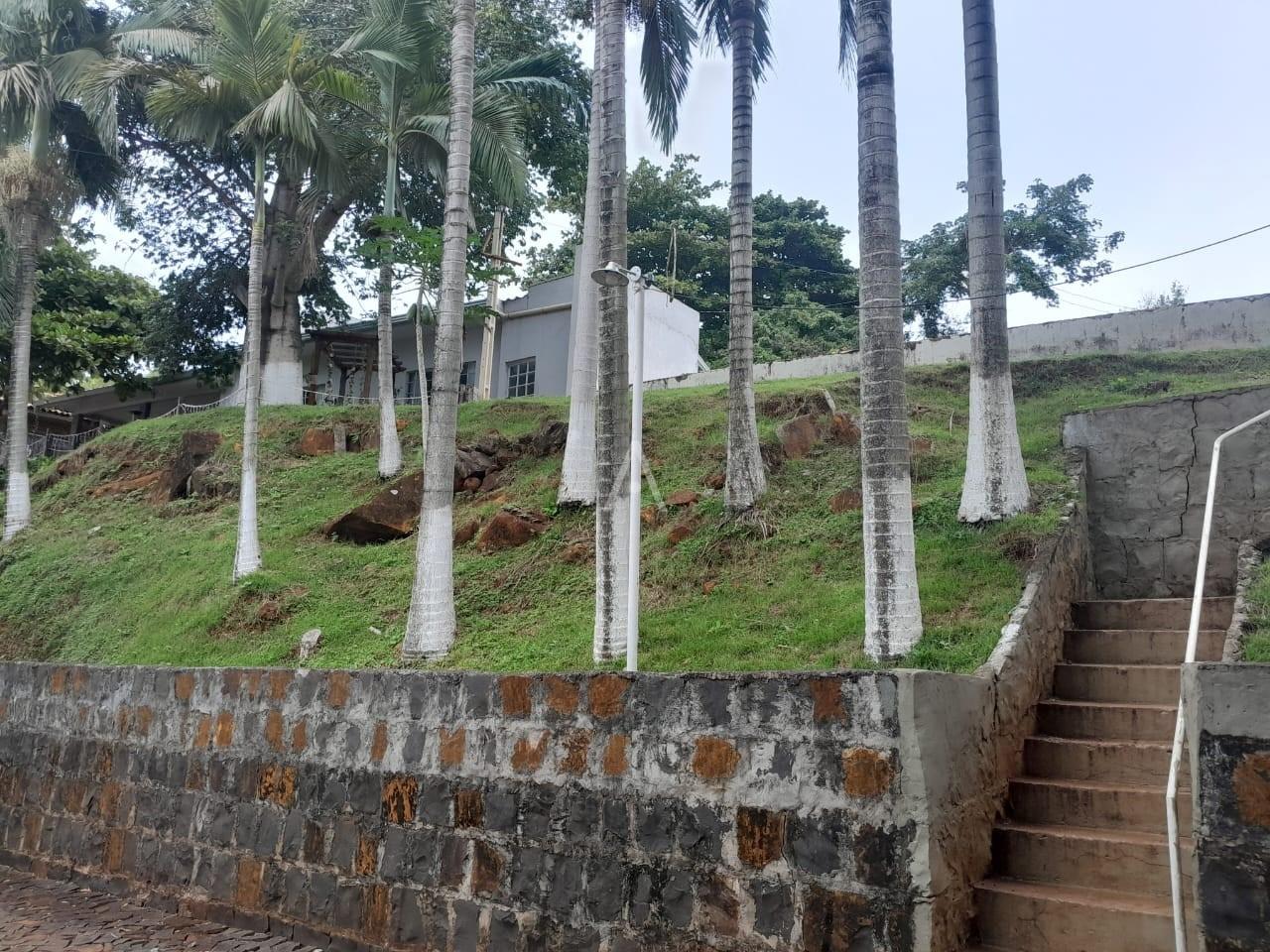 Terreno para à venda no Bairro Nova Prata - rural em NOVA PRATA DO IGUAÇU: 