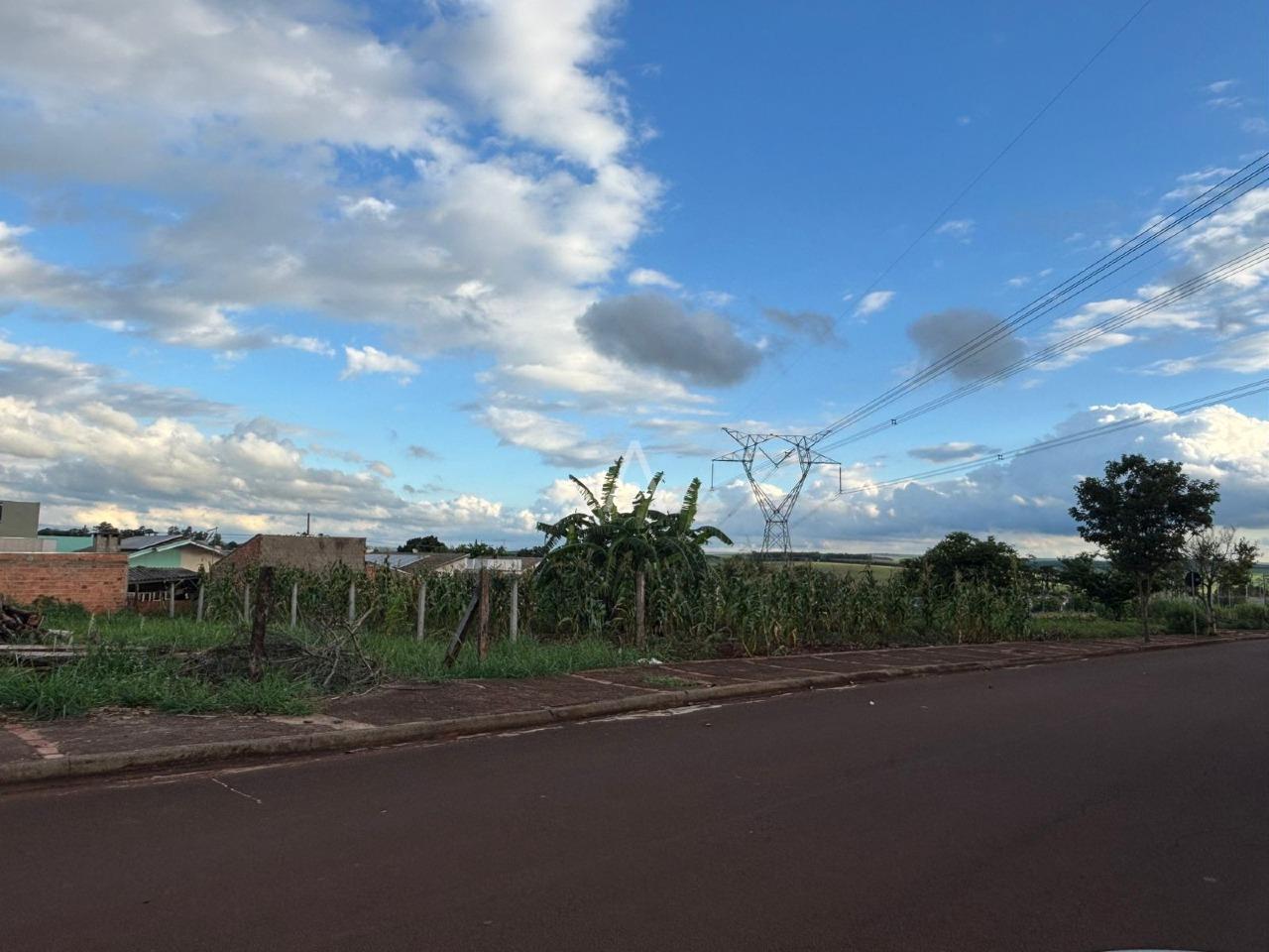 Terreno para à venda no Bairro SAO FRANCISCO em TOLEDO: 