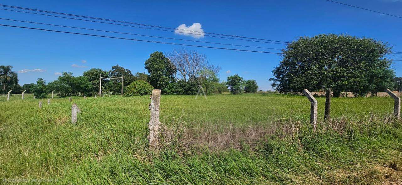 Imóveis Rurais para à venda no Bairro Área Rural de Toledo em TOLEDO: 