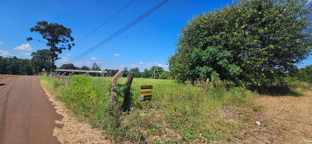 Imóveis Rurais para à venda no Bairro Área Rural de Toledo em TOLEDO: 