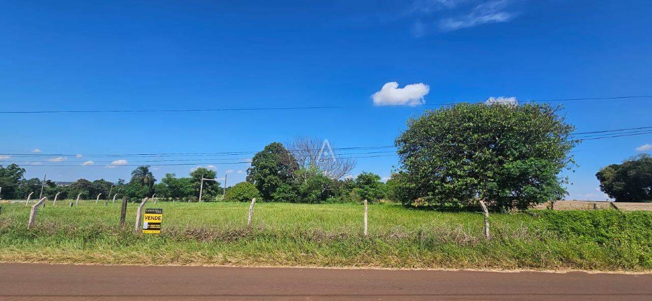 Imóveis Rurais para à venda no Bairro Área Rural de Toledo em TOLEDO: