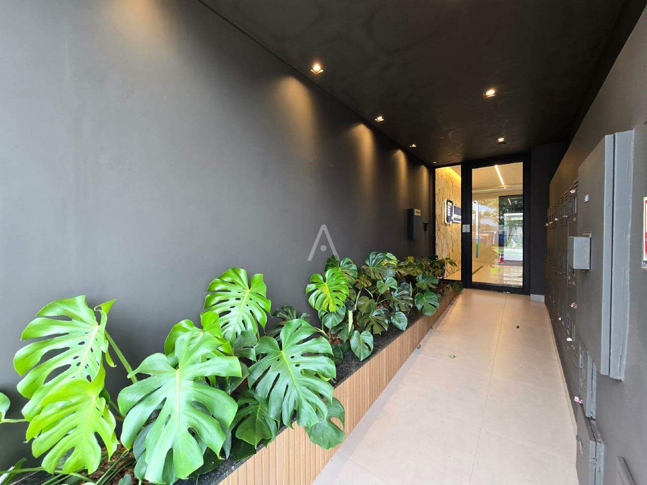 Apartamento para para aluguel no Bairro VILA INDUSTRIAL em TOLEDO: 