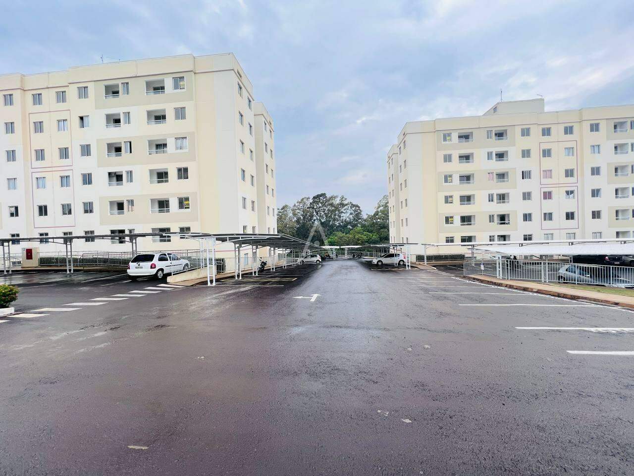 Apartamento para à venda no Bairro UNIVERSITARIO em CASCAVEL: 