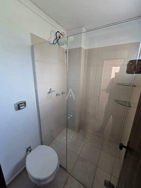 Apartamento para para aluguel no Bairro CENTRO em TOLEDO: