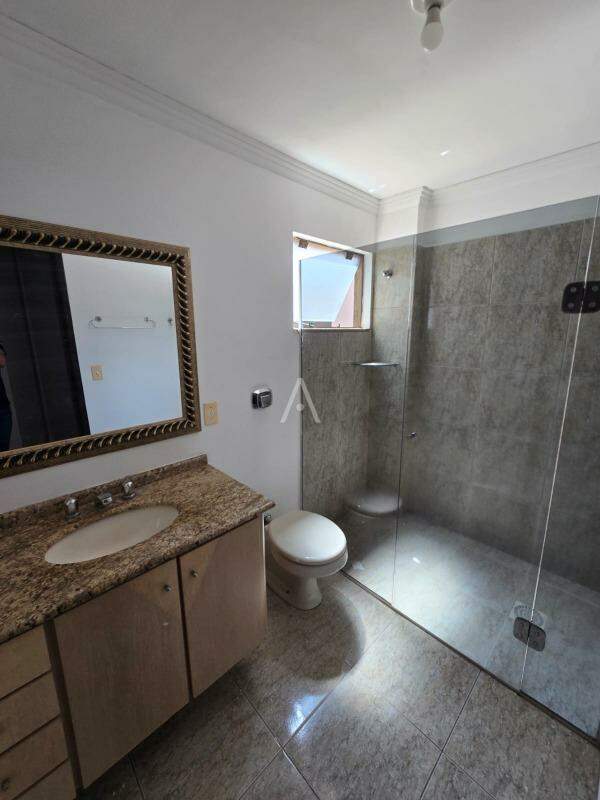 Apartamento para para aluguel no Bairro CENTRO em TOLEDO: