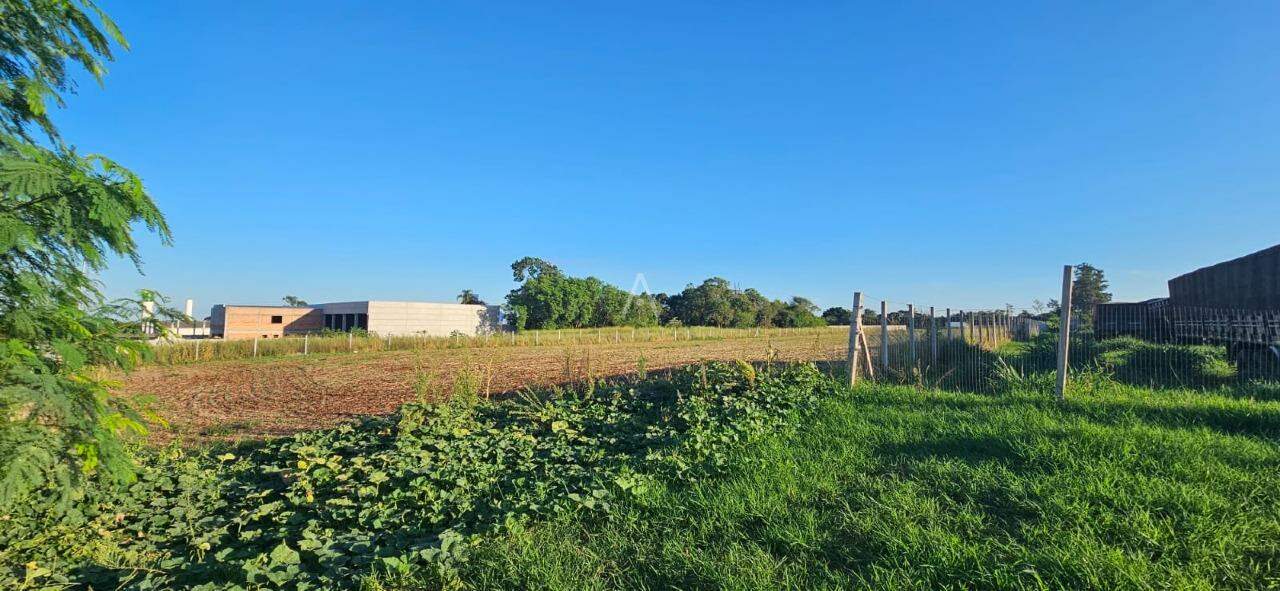 Terreno para à venda no Bairro Área Rural de Toledo em TOLEDO: 