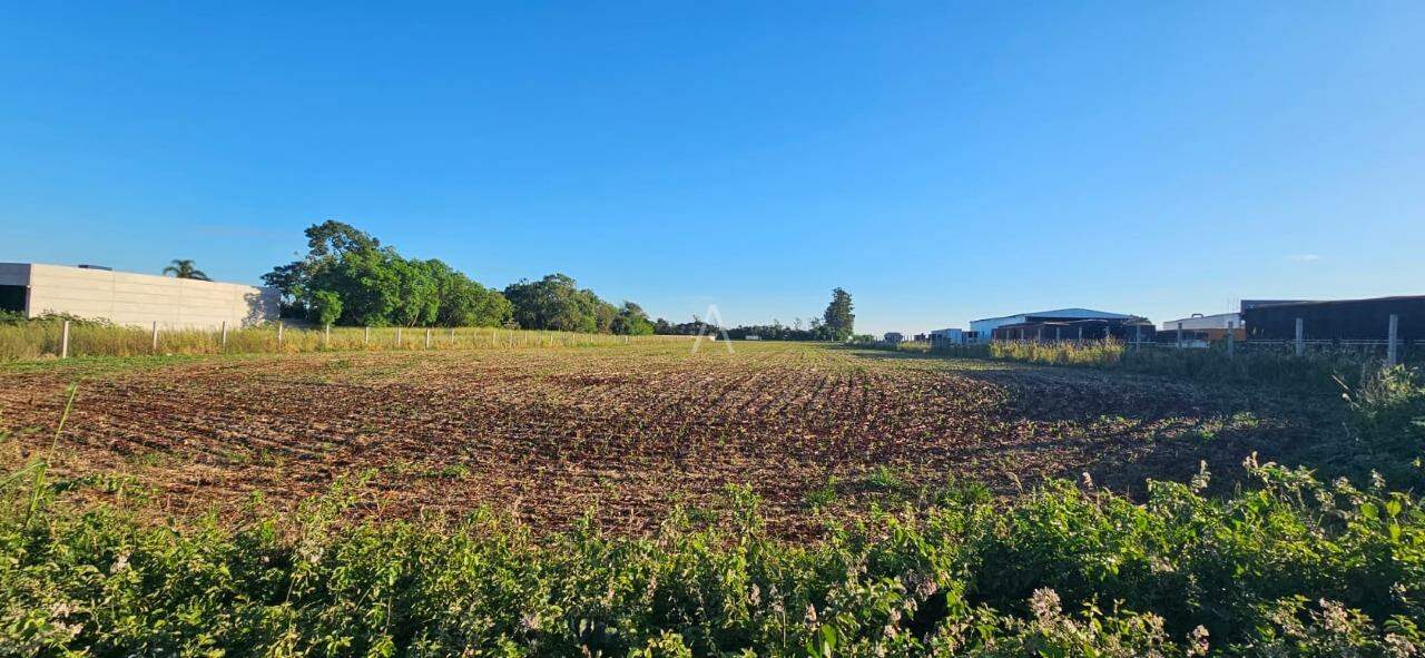 Terreno para à venda no Bairro Área Rural de Toledo em TOLEDO: 