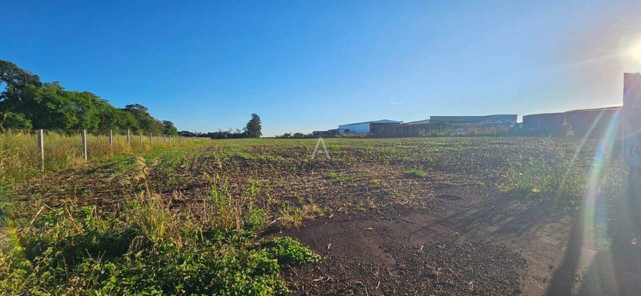 Terreno para à venda no Bairro Área Rural de Toledo em TOLEDO: 