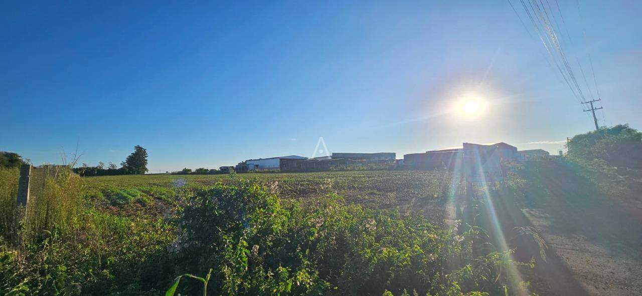 Terreno para à venda no Bairro Área Rural de Toledo em TOLEDO: 