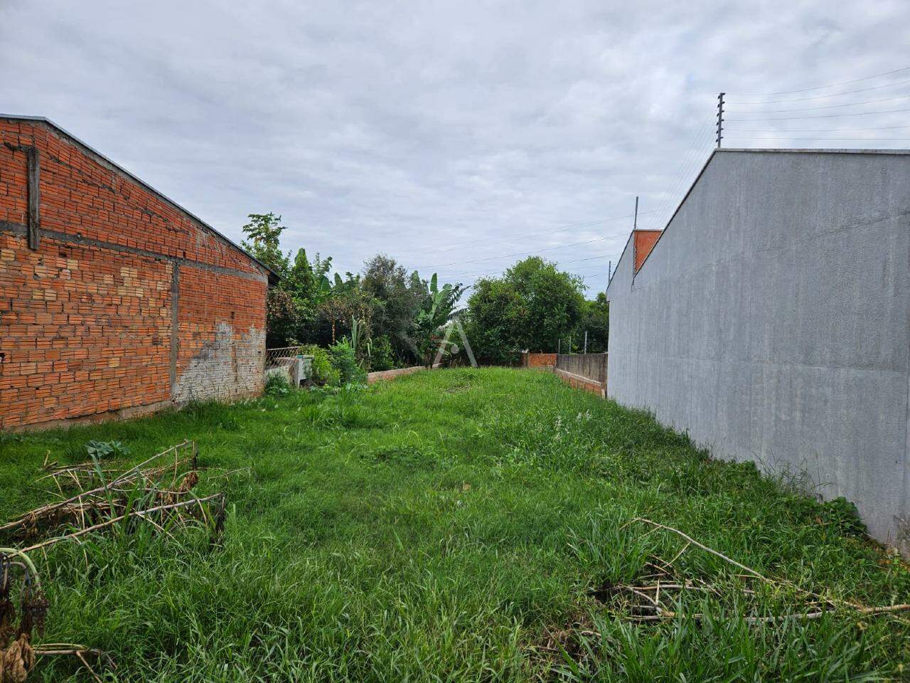 Terreno para à venda no Bairro PADOVANI em CASCAVEL: 