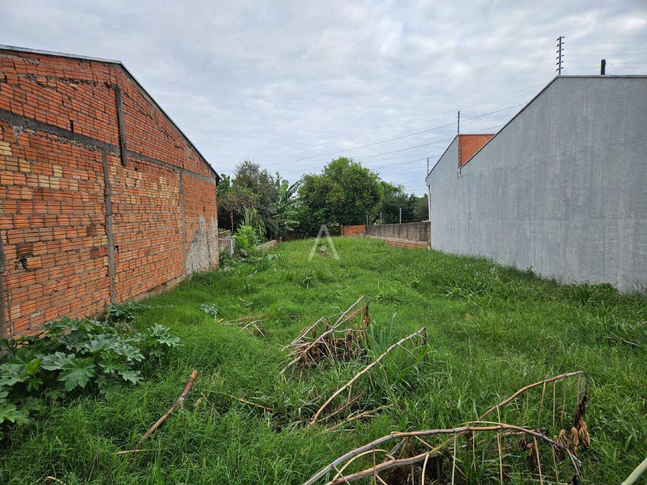 Terreno para à venda no Bairro PADOVANI em CASCAVEL: 