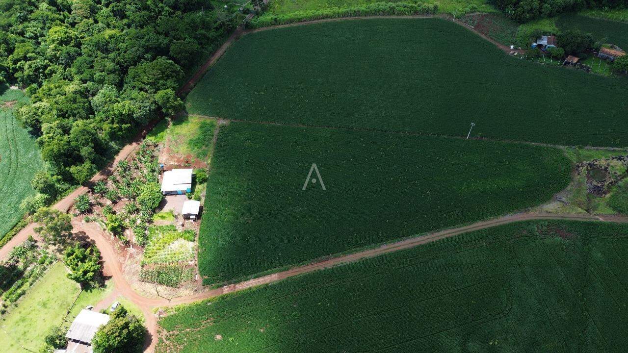 Imóveis Rurais para à venda no Bairro ZONA RURAL em CASCAVEL: 