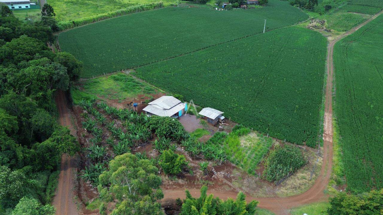Imóveis Rurais para à venda no Bairro ZONA RURAL em CASCAVEL: 