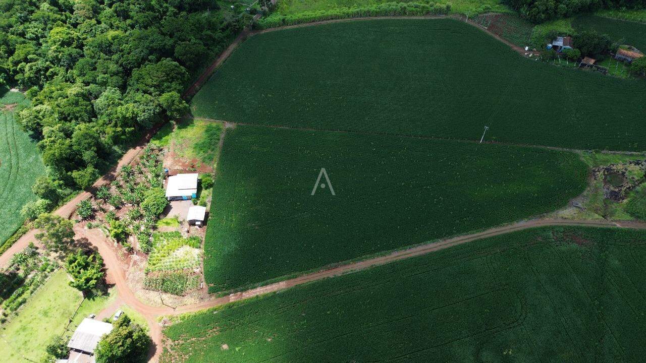 Imóveis Rurais para à venda no Bairro ZONA RURAL em CASCAVEL: 