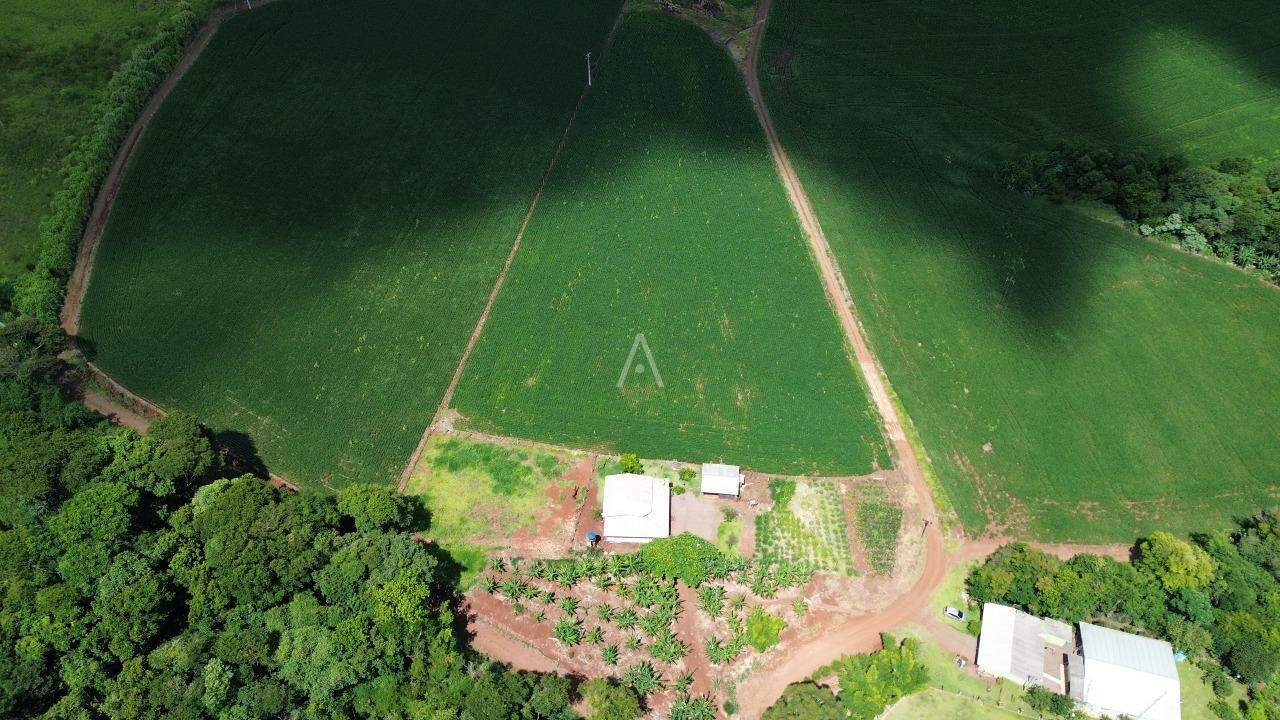 Imóveis Rurais para à venda no Bairro ZONA RURAL em CASCAVEL: 