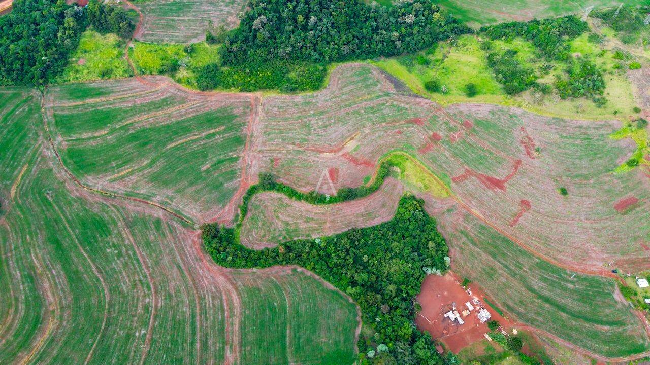 Imóveis Rurais para à venda no Bairro SAO SALVADOR em CASCAVEL: 