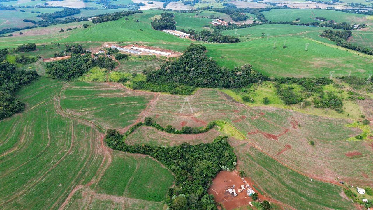 Imóveis Rurais para à venda no Bairro SAO SALVADOR em CASCAVEL: