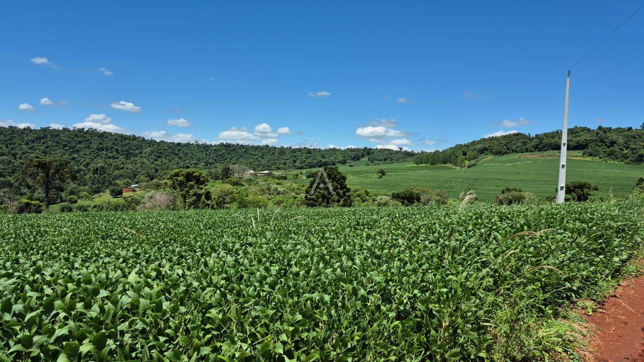 Imóveis Rurais para à venda no Bairro SAO SALVADOR em CASCAVEL:
